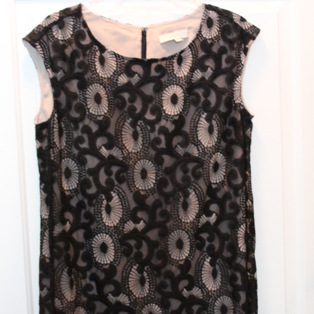 LOFT Lace mini black dress